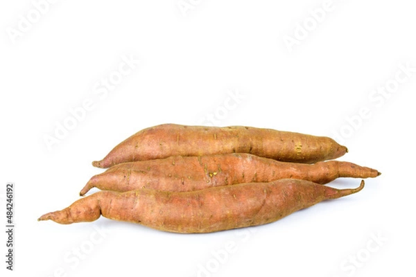 Obraz Sweet potato close up on the white background