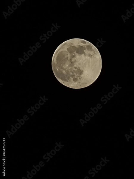 Obraz full moon in the night sky