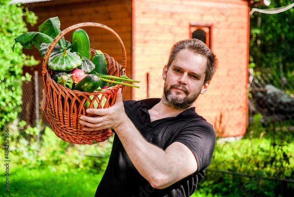 Fototapeta Portrait of a bearded male farmer with a basket full of ripe, fresh vegetables
