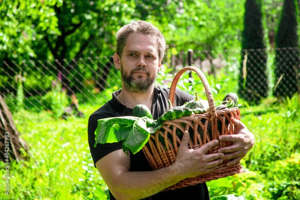 Fototapeta Portrait of a bearded male farmer with a basket full of ripe, fresh vegetables