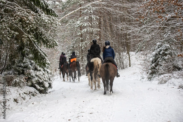 Obraz Winter horseback riding through the forest