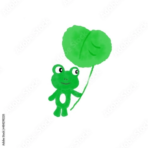 Fototapeta カエル　緑　葉っぱ　梅雨