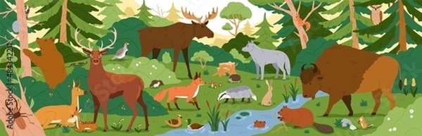 Obraz Forest animals in wild nature. Environment landscape with trees and habitats. Biodiversity of flora and fauna in temperate woods. Wildlife in woodland panorama. Colored flat vector illustration