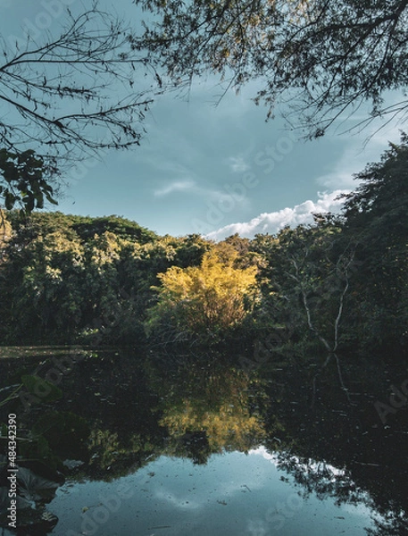 Obraz autumn in the mountains