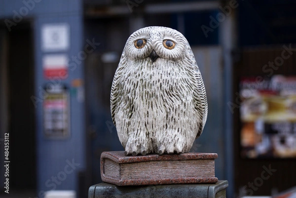 Obraz ふくろう像