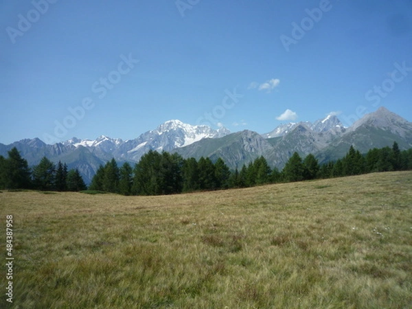 Fototapeta scenic view on a mountain meadow panorama on Italian Alps with copy space for your text