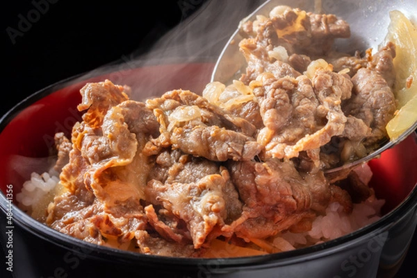 Obraz 牛丼のイメージ