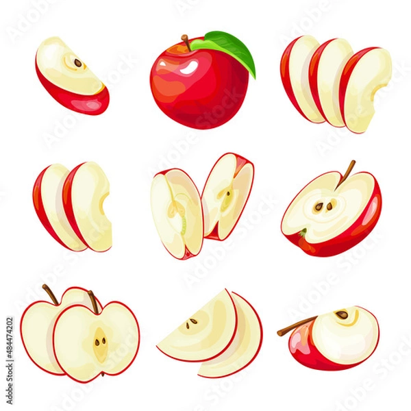 Obraz Vector set of red apples. Whole apple, half, quarter apple, and sliced ​​slices. Set of slices of red apple on a white background.