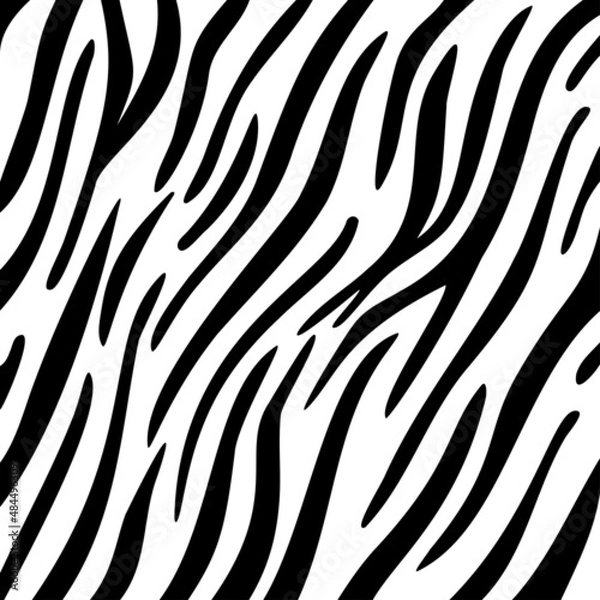 Obraz stripe animals jungle tiger pattern. white and black animal print. Vector illustration
