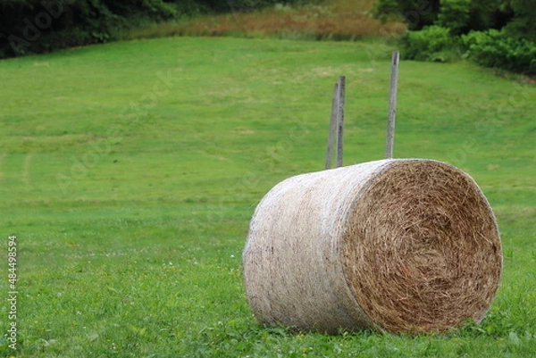 Fototapeta 牧草地と牧草ロール
