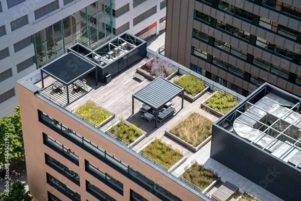 Fototapeta Modern ecological green roofs on office buildings in Prague.