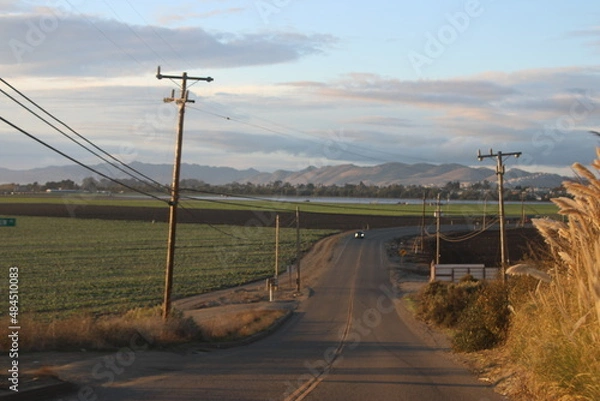 Obraz road in the countryside