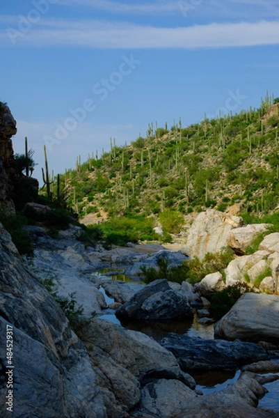 Obraz river in the desert