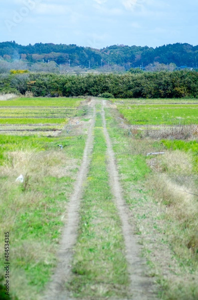 Fototapeta あぜ道