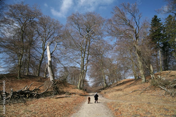 Obraz landscape and child