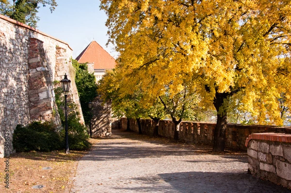 Obraz Bratislava Castle road