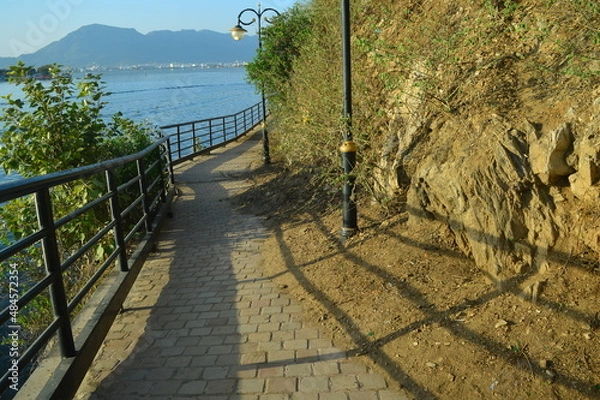 Fototapeta path to the sea