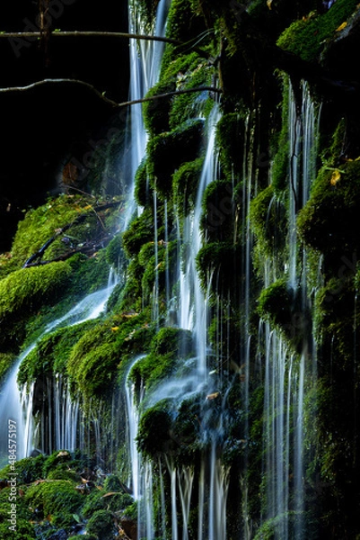 Fototapeta 苔が生えた緑の岩と滝の流れ