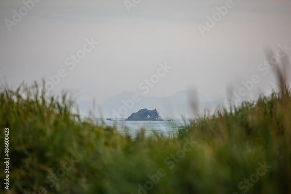 Fototapeta Pacific ocean in the morning