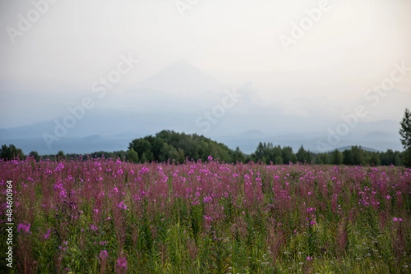 Obraz The active Kamchatka Volcano at dawn