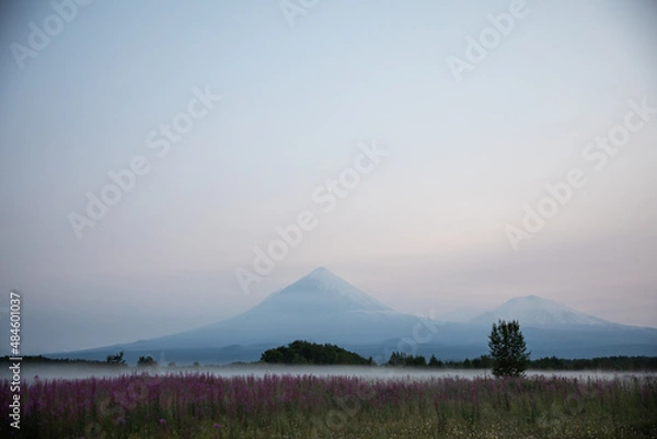 Obraz The active Kamchatka Volcano Klyuchevskaya Sopka at dawn