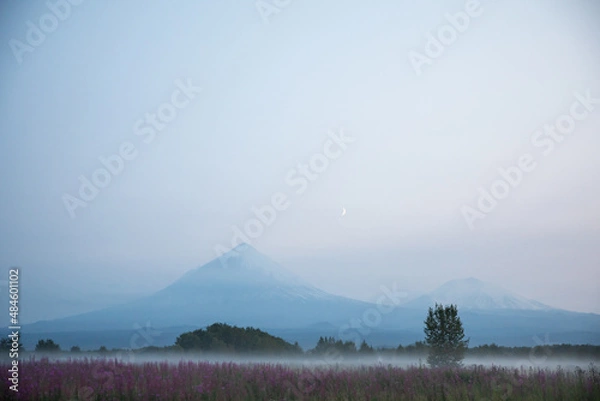 Fototapeta The active Kamchatka Volcano Klyuchevskaya Sopka at dawn