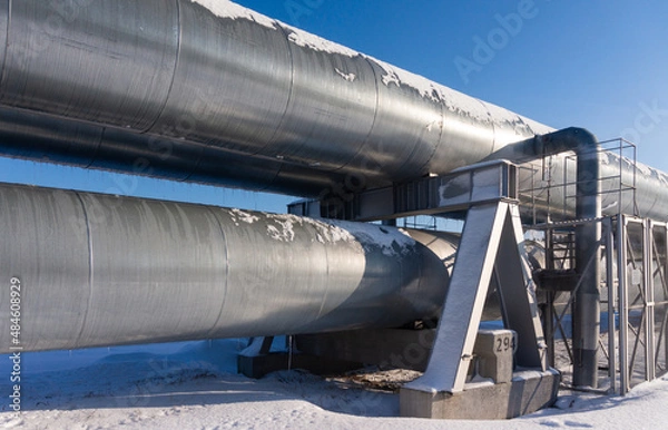 Obraz Heat transmission in winter