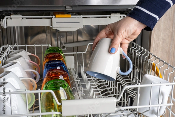 Fototapeta A woman takes clean dishes out of the dishwasher. Rows of mugs and glasses in an open dishwasher.