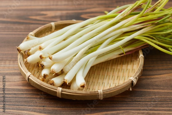 Fototapeta 沖縄の島野菜、島らっきょう