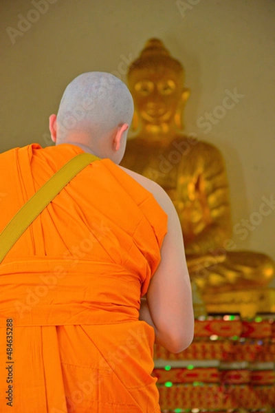 Obraz Ordaining of young men in Thailand