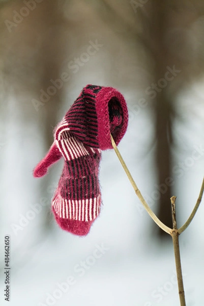 Fototapeta A lost mitten.