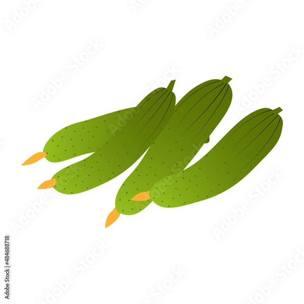 Fototapeta cucumber vector isolated, flat design on white background