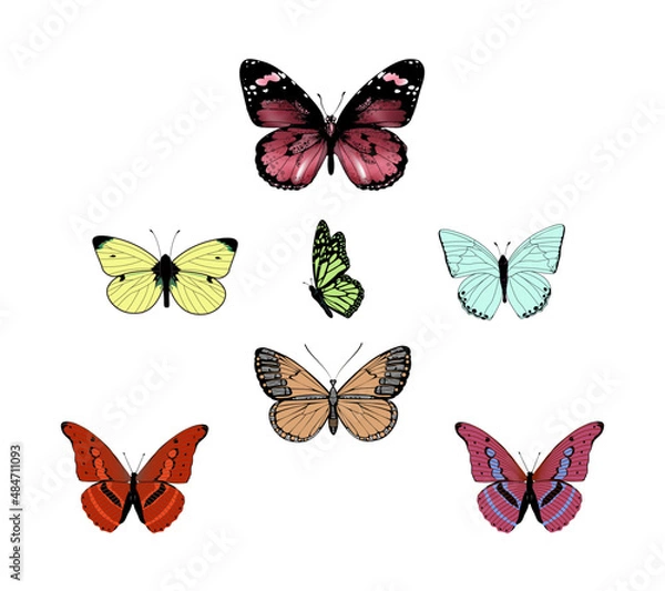 Fototapeta Set Of Colorful Butterflies Vector Iluustration