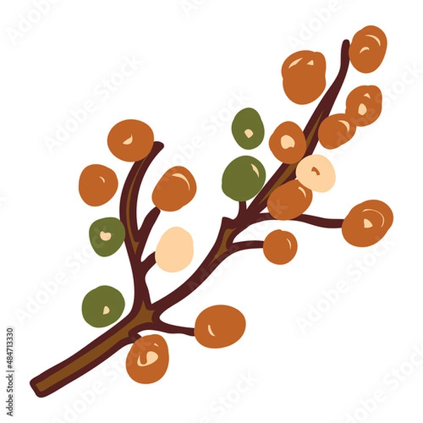 Obraz Brown berry brunch in doodle style. Vector element.