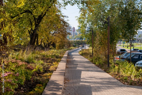 Obraz walk in the park