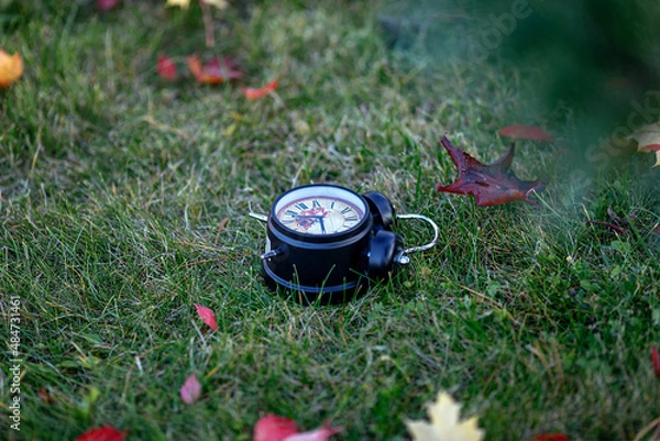 Obraz the black alarm clock is lying on the green grass among the autumn leaves