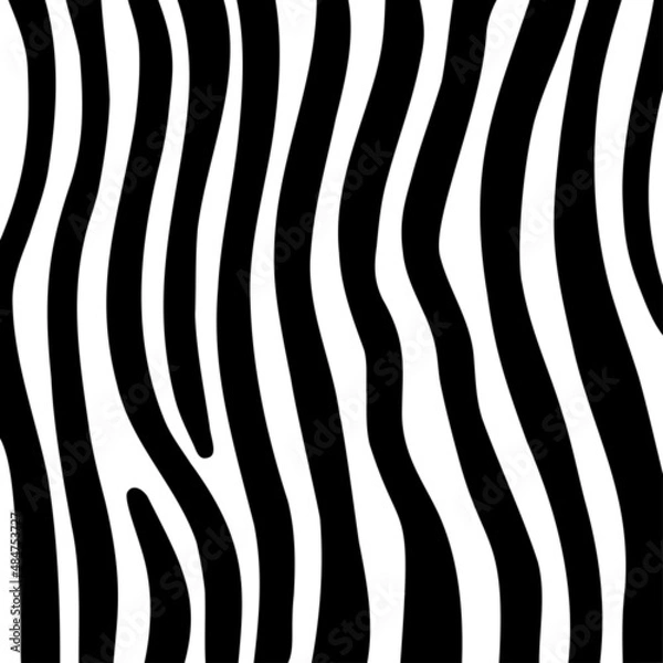 Obraz Vector illustration of seamless zebra pattern. black and white zebra fur pattern. Animal print background for fabric, textile, design, wild zebra print.
