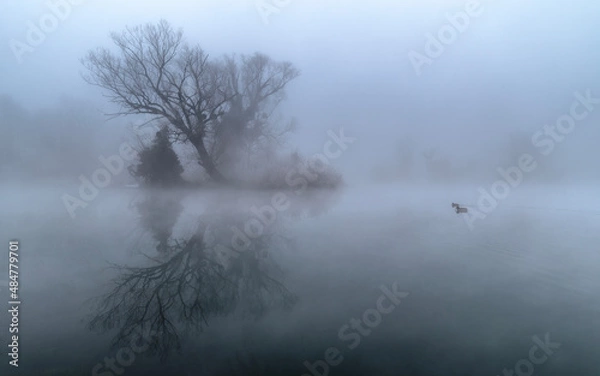 Obraz river in the fog