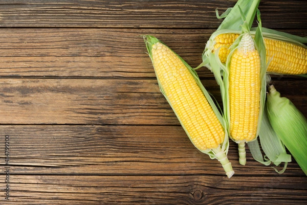 Fototapeta Fresh corn on the cob on a rustic wooden table with copy space - top view