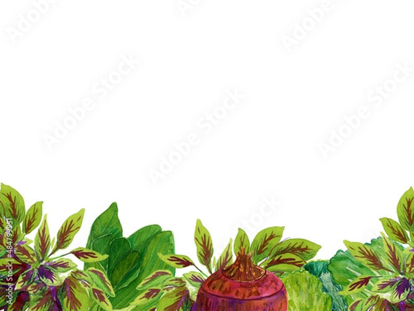 Obraz Watercolor hand drawn vegetable frame, isolated on white background.