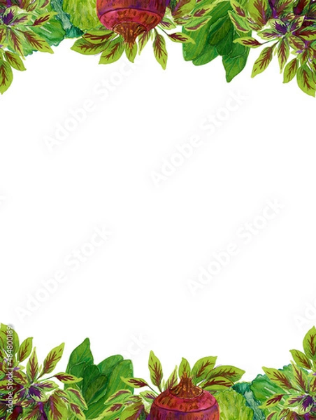 Obraz Watercolor hand drawn vegetable frame, isolated on white background.