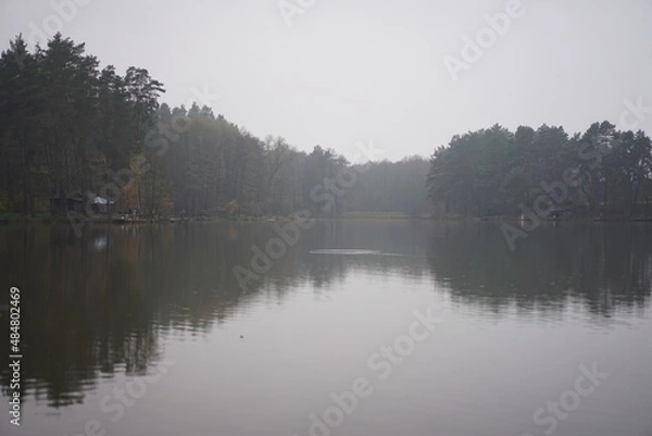 Obraz morning on the lake