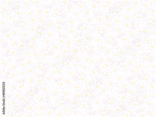 Fototapeta さくらの線画背景①カラー_一面