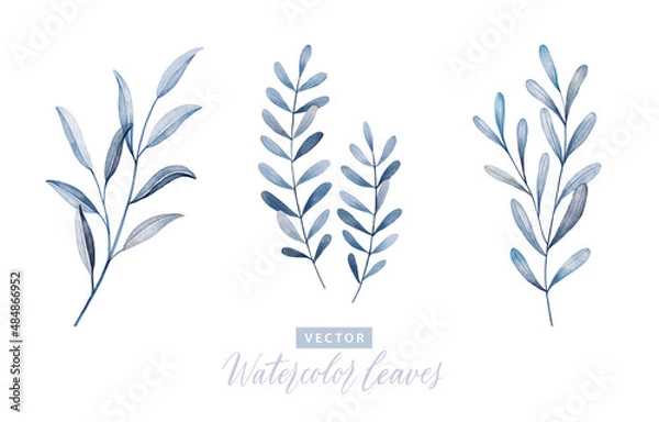 Obraz Set of digital watercolor painting branches with blue leaves 2.