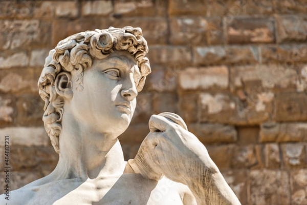 Fototapeta Michelangelo's David statue located in Piazza della Signoria in Florence, Italy.