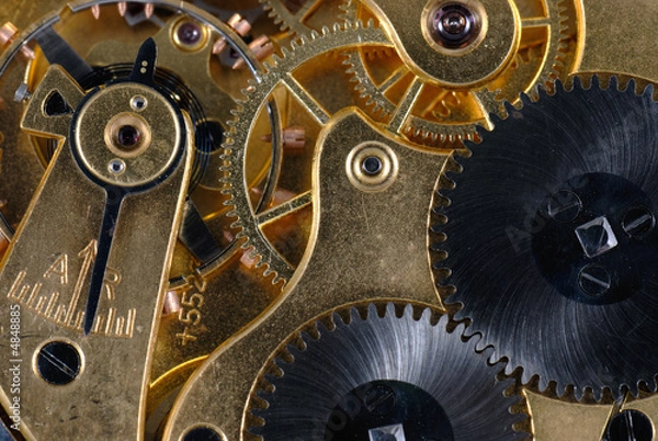 Fototapeta Inside Pocket Watch