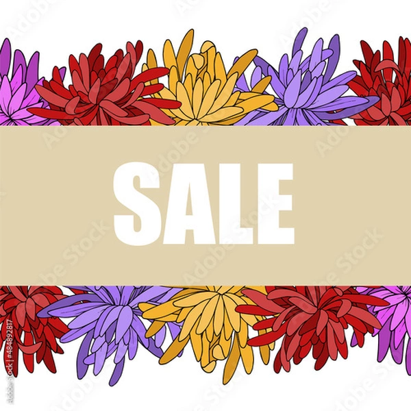 Fototapeta vector chrysanthemum floral botanical flower