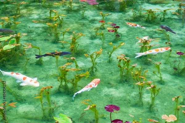 Obraz 岐阜県関市根道神社の名もなき池　通称モネの池