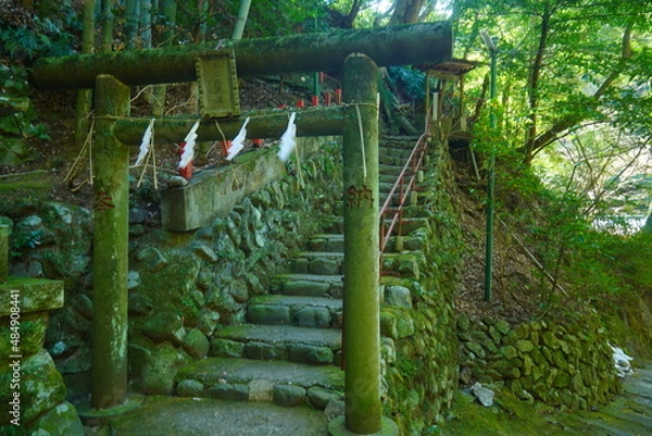 Fototapeta 湯河原にある不動滝の出世不動尊