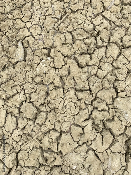Obraz cracks. dry land
